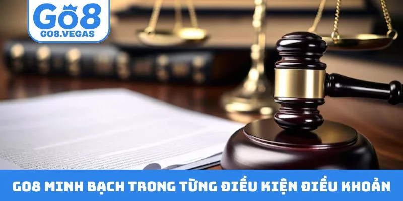GO8 minh bạch trong từng điều kiện điều khoản GO8 minh bạch trong từng điều kiện điều khoản