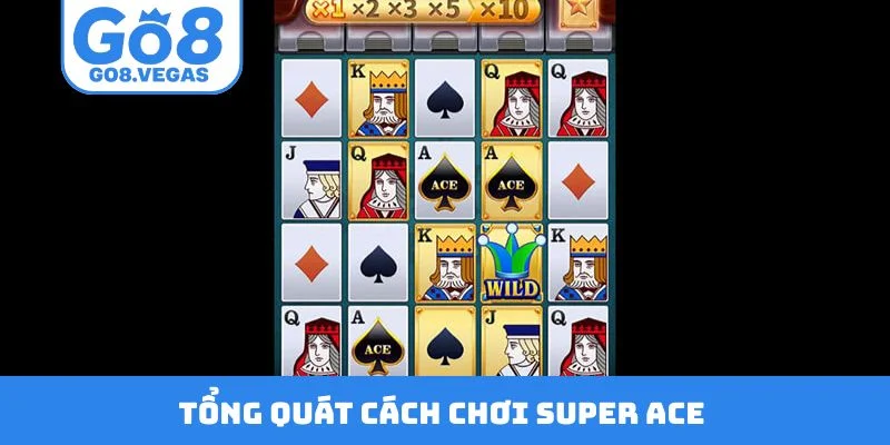 Tổng quát cách chơi Super Ace Tổng quát cách chơi Super Ace